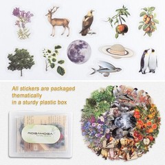 Nature Themed Transparent Pre-Cut Stickers for Scrapbooking, Pack Multicolor
