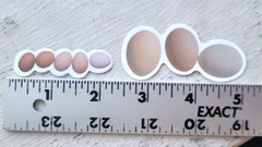 Vintage Food Stickers Breakfast Whole Eggs Vegetarian Meal Lot of 5 Pc Pcs