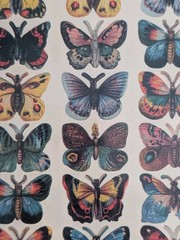 9 Pkgs John Grossman Naturally Gifted Stickers Shells Butterflies Flowers Sealed