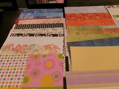 Scrapbooking Paper Mixed Lot Of 112, Various Sizes,Brands,Colors, w/Case