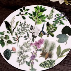 50pcs/Pack leaves stickers leaf plant and animal vellum stickers T03