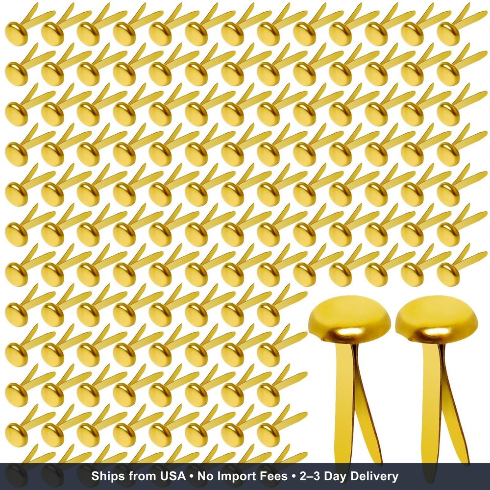 Paper Brass Fasteners, 3/4-Inch Metal Brass Brads Round Brads for Paper Crafts M