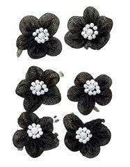 12 Black 3/4 inch 5 Petal Sheer Flower with Pearl Accessory