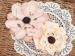 NIKITA WV – 2 Flower Pk APRICOT & DESERT SAND Colours 80-100mm Manor House ConA