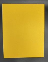 Lot of 39 Scrapbooking Paper Card Stock Variety Colors Themes 8.5″ x 11″