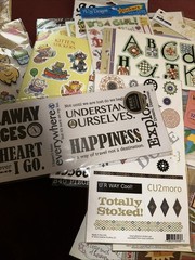 HUGE Lot of Words, Phrases Flowers Baby Safari Craft Stickers