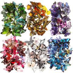 240PCS Butterfly Stickers, PET Waterproof Transparent Colorful Resin Decals Deco