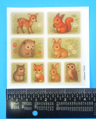Woodland Animals Green Backing Sticker Sheet