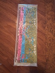 Anna Griffin Fall Border Embellishments 4 Piece 12”