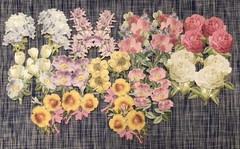 Anna Griffin Celebrations Floral Stickers set of 40 NEW