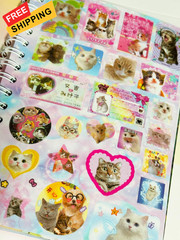 Cat Sticker Book, 30 Pages Over 800 + 10pcs Creative Kawaii Style 1