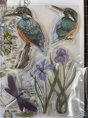 New Craft Consortium Rubber Stamp set RIVERBANK KINGFISHER BIRDS free USA ship