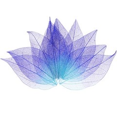 100-Pack Skeleton Leaves, Natural Rubber Leaves Vein[4-6cm, Purple, Blue]