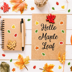 2500 Mini Fall Maple Leaves Stickers – 4 Styles, Colorful Paper Decals
