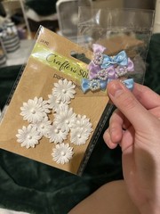 Crafter’s Square Classic Scrapbooking Lot Stickers Ribbon Paper Flowers Hearts