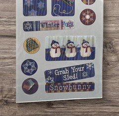 Winter Fun American Traditional Designs FX 3D Motion Stickers Scrapbooking NEW