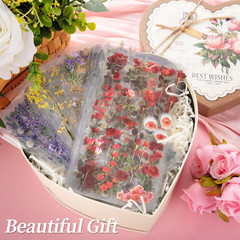 722 Pieces Pressed Flower Stickers for Crafts (Assorted 722 Pieces,48 Sheets) Fl