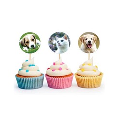 Dog and Cat Stickers for Kids Teachers,1000 Pcs Dog Cat Design Stickers for Kids