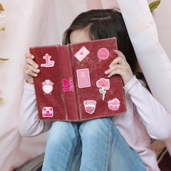 110PCS Pink Bible Verse Stickers for Girls and Women – Christian Scripture Favor