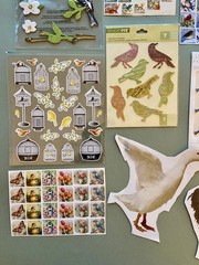 Lot of BIRD Stickers! Sticko, Studio 112, Etc
