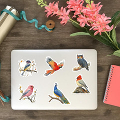 50Pcs Vintage Watercolor Bird Stickers – Aesthetic Nature Wildlife Stickers for