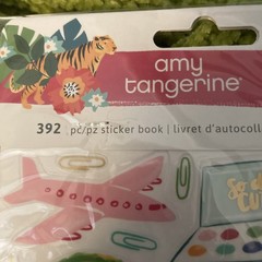 Amy Tangerine-7 Item Huge Lot-paper, Stickers, Ephemera