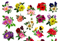 BEAUTIFUL FLOWER STICKERS Roses Lilies Petunias USA MADE #59B FAST USA SHIPPING