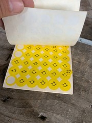 Standard Publishing Stick N Sniff lemon-scented stickers Smiley Face