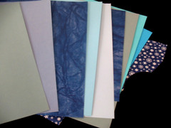 Lot Photo Mounting Paper, Tropical combo packs-a 10×12 and a Great Length