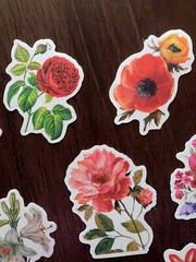 STICKERS x 10 Flowers Roses Poppy Gardenia Orchid Tulip Poppy Flower FL5