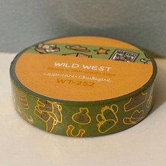Hubman & Chubgirl Armadillo Cowboys Mini Planner Kit Washi & Stickers Set