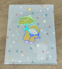 New Happie Scrappie x OMWL Collab Green Frog Munchkin Mini Sticker Folder