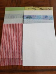 Scrapbook Lot of 19 sheets Vellum 8 1/2 x 11 New intact