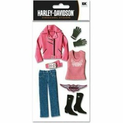 HARLEY-DAVIDSON Motorcycle Pink Leather Jacket Gloves Boots HTF Jolee’s Stickers