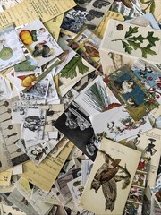 NEW 20 PACKS Lot Junk Journal Scrapbook Ephemera
