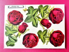 Anna Griffin Flower Pot Decoupage Diecuts 70+ PCS + Floral Recollection Layers