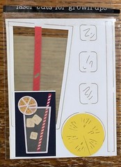 Deluxe Designs~ Lemonade ~ Glass LASER Die Cuts For Adults COMPLETES Scrapbook