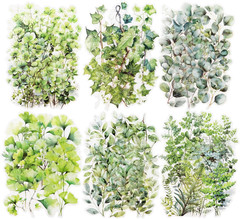 Botanical Leaf PET Stickers Set, 120PCS Transparent Plant Ephemera for Scrapbook