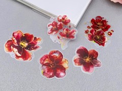 Red flower PET Stickers Pack | flower gold foil watercolor themed PET Sticker