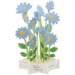 Korean Blooming Card – Blue Daisy (Pre-Order)