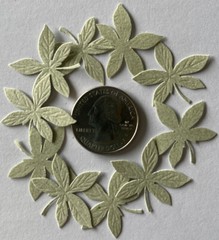 LIGHT GREEN PALM FROND Die-cut Embellishment(10pc)Jolee’s•Flower•Garden•Stems•