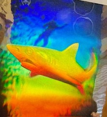 1992 HOLOGRAPHIC SHARK STICKER with DIVER IN BACKGROUND-GREAT DEPTH-GREAT COLORS