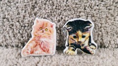1983 Imperial Kittens Cats Eighteen Used Puffy Stickers Orange & Black Tabby