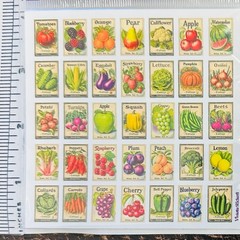 Violette Stickers Mini Seed Packet Fruits & Veggies Crafts Planner Supply