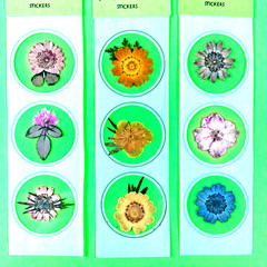 Pressed Petals Real Flowers Sticker Pack Lot Of 7