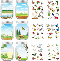 Insects Stickers Crafts Bulk, 24PCS DIY Craft Jar Stickers for Spring/Summer Act