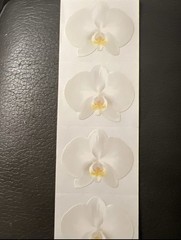 *Mrs. Grossman’s Stickers Flowers White Orchid