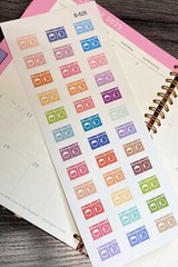 Laundry,Home Cleaning, bathroom,Floor :Handmake Erin Condren Planner Sticker