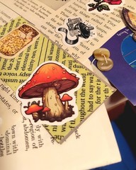 100 COUNT STASH SUPPLIES~JUNK JOURNAL~SCRAPBOOKING~ CARDMAKING~DECOPAGE~COLLAGE~