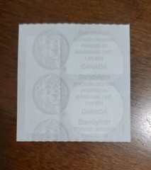 Vintage Sandylion STAINED GLASS WINDOW sticker mod, unused